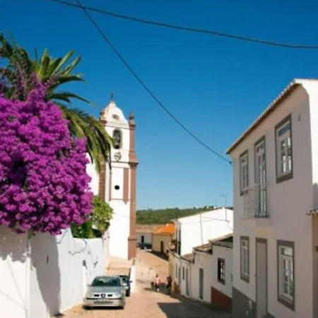 Stylish Town House In